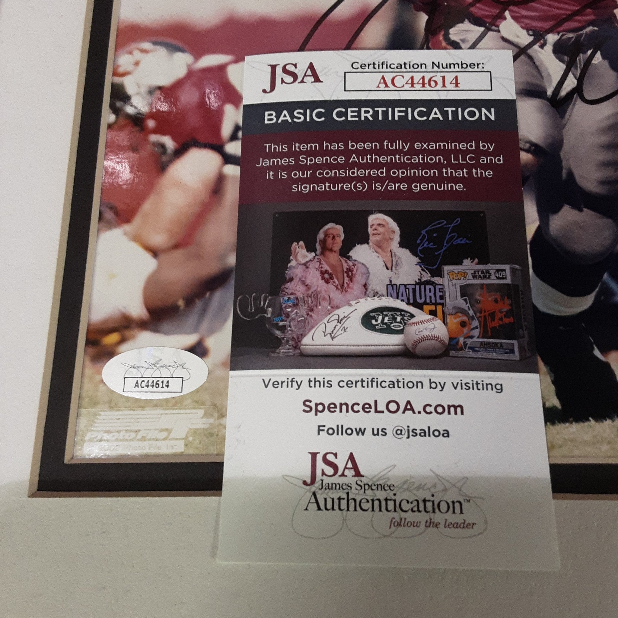 Mike Alstott Authentic Signed Framed 8x10 Photo Autographed JSA-