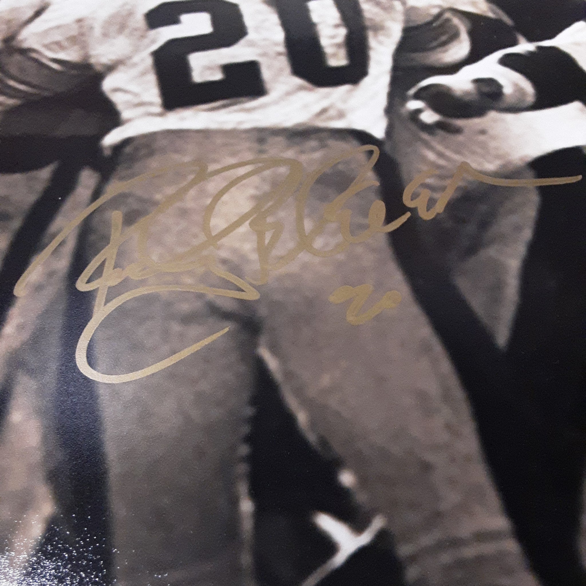 Rocky Bleier and Franco Harris Authentic Signed Framed 16x20 Photo Aut