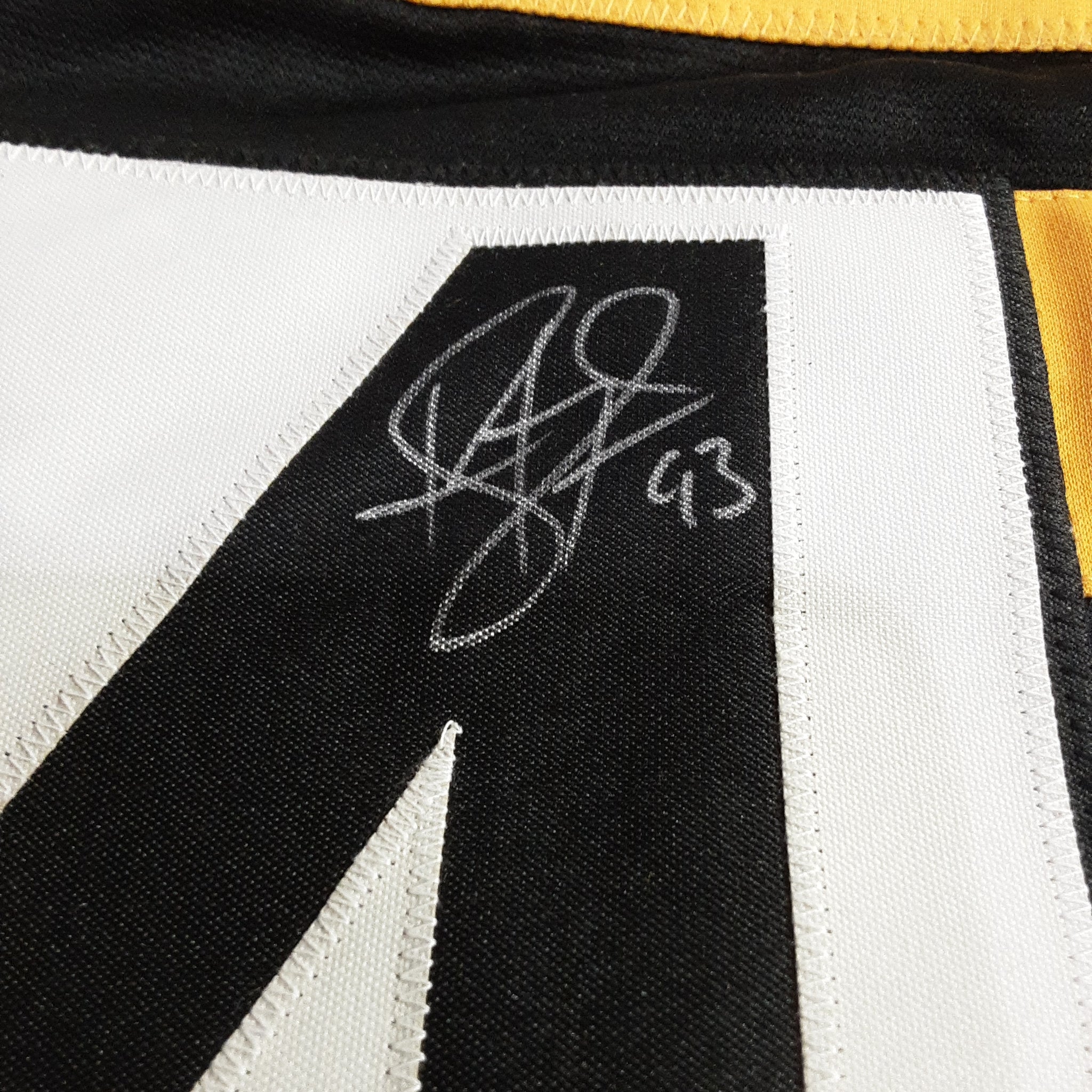 Troy Polamalu Authentic Signed Pro Style Jersey Autographed JSA