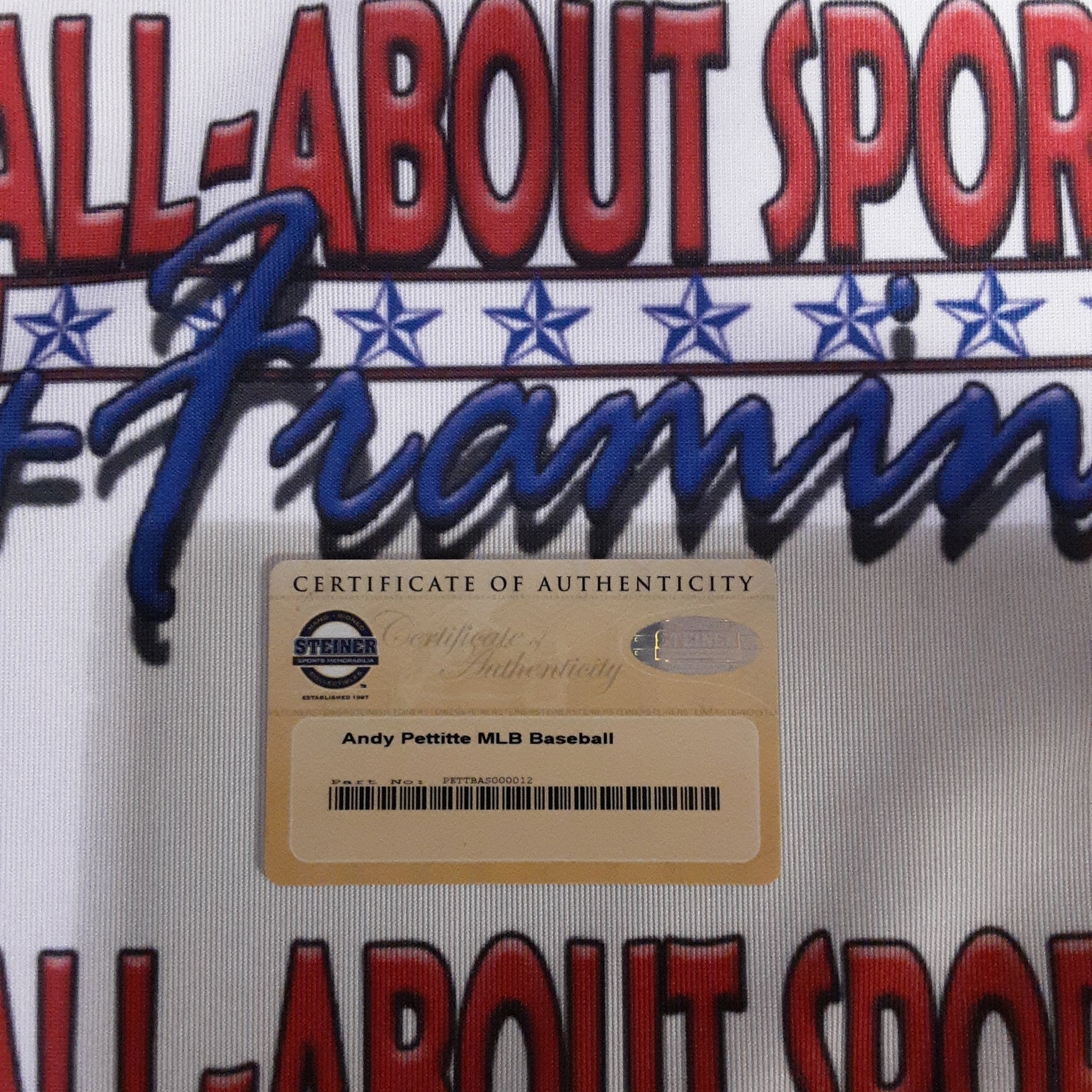 Andy Pettitte Authentic Signed Baseball Autographed Steiner-