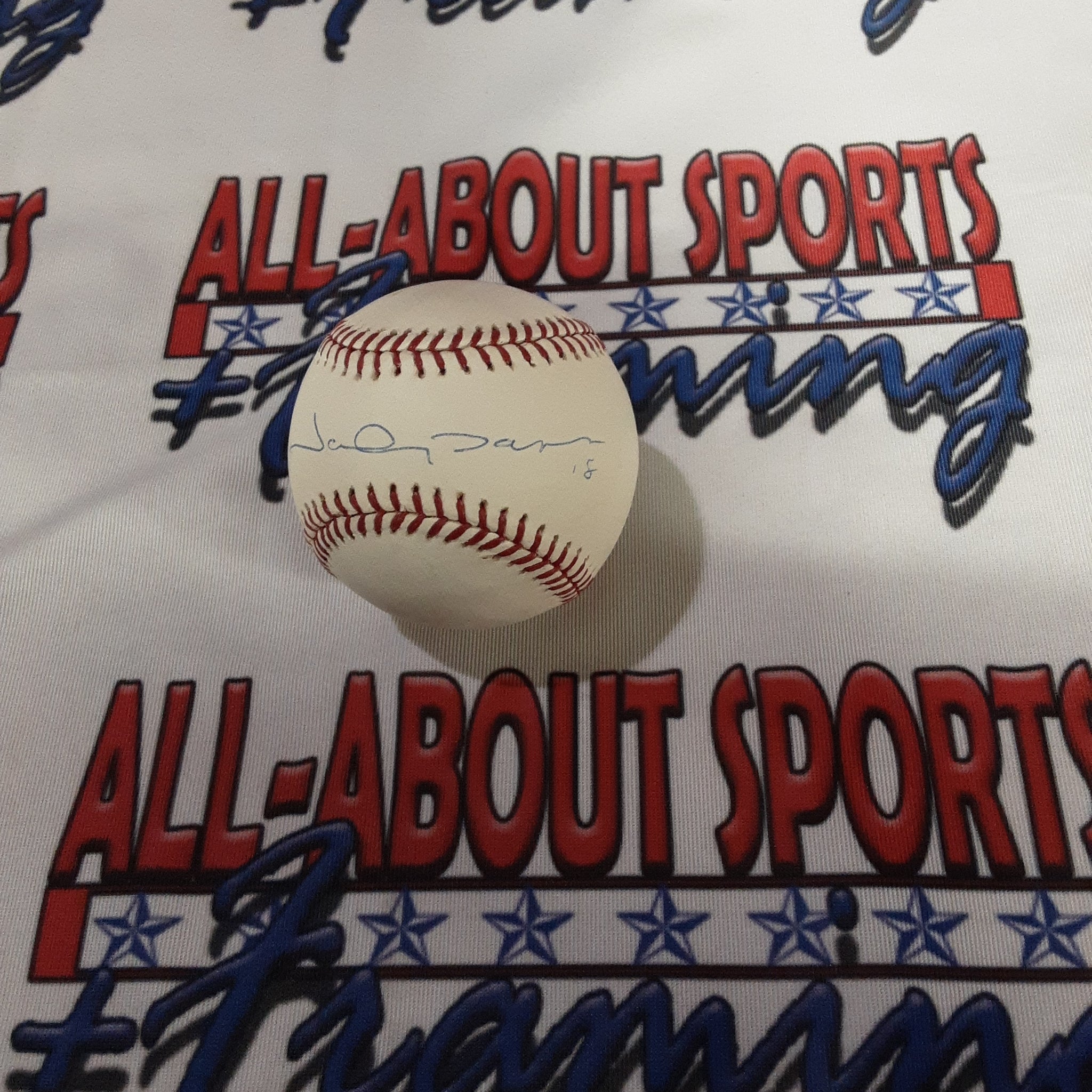 Johnny Damon Authentic Signed Baseball Autographed Steiner-