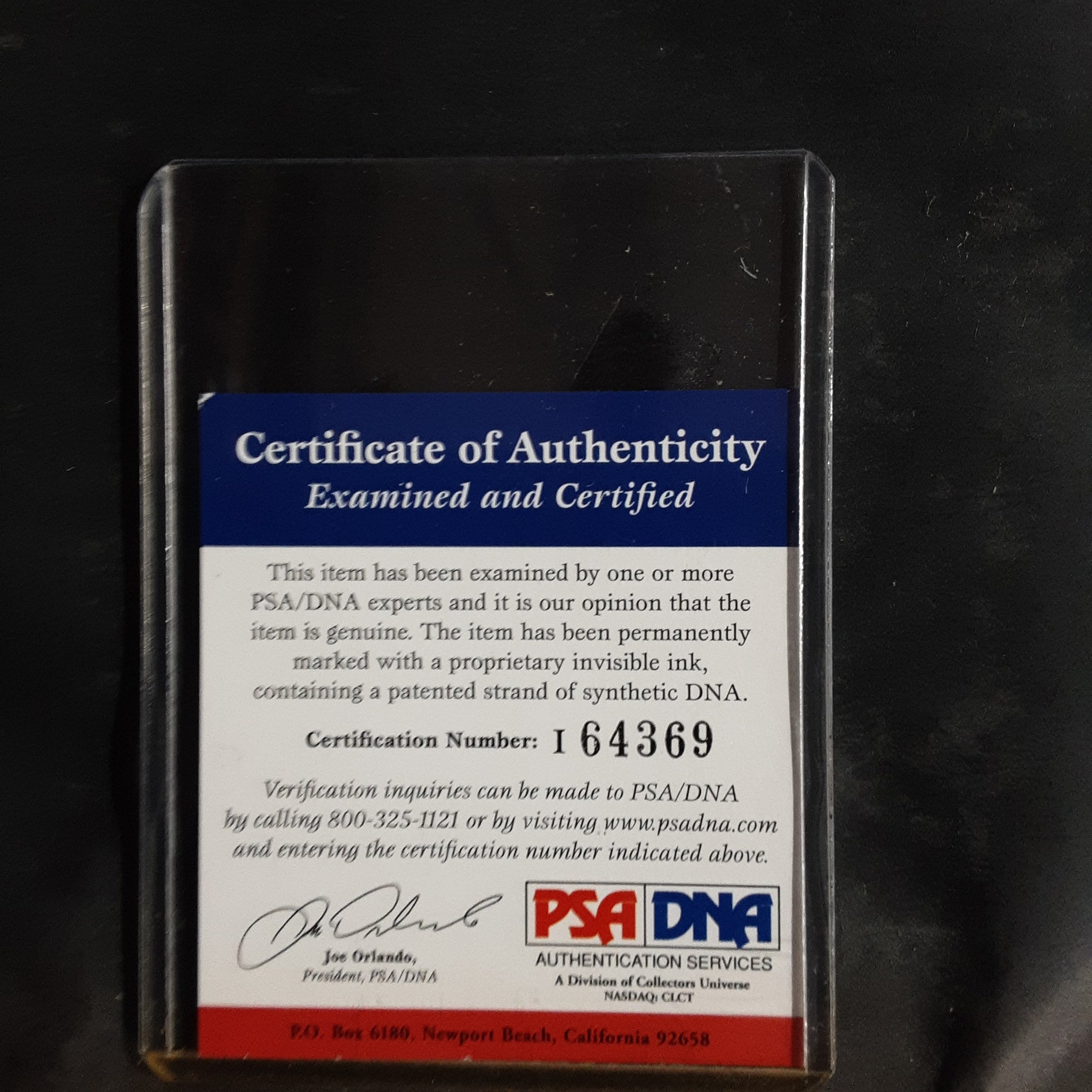 Kellie Pickler Authentic Signed CD Framed Collage Autographed PSA-