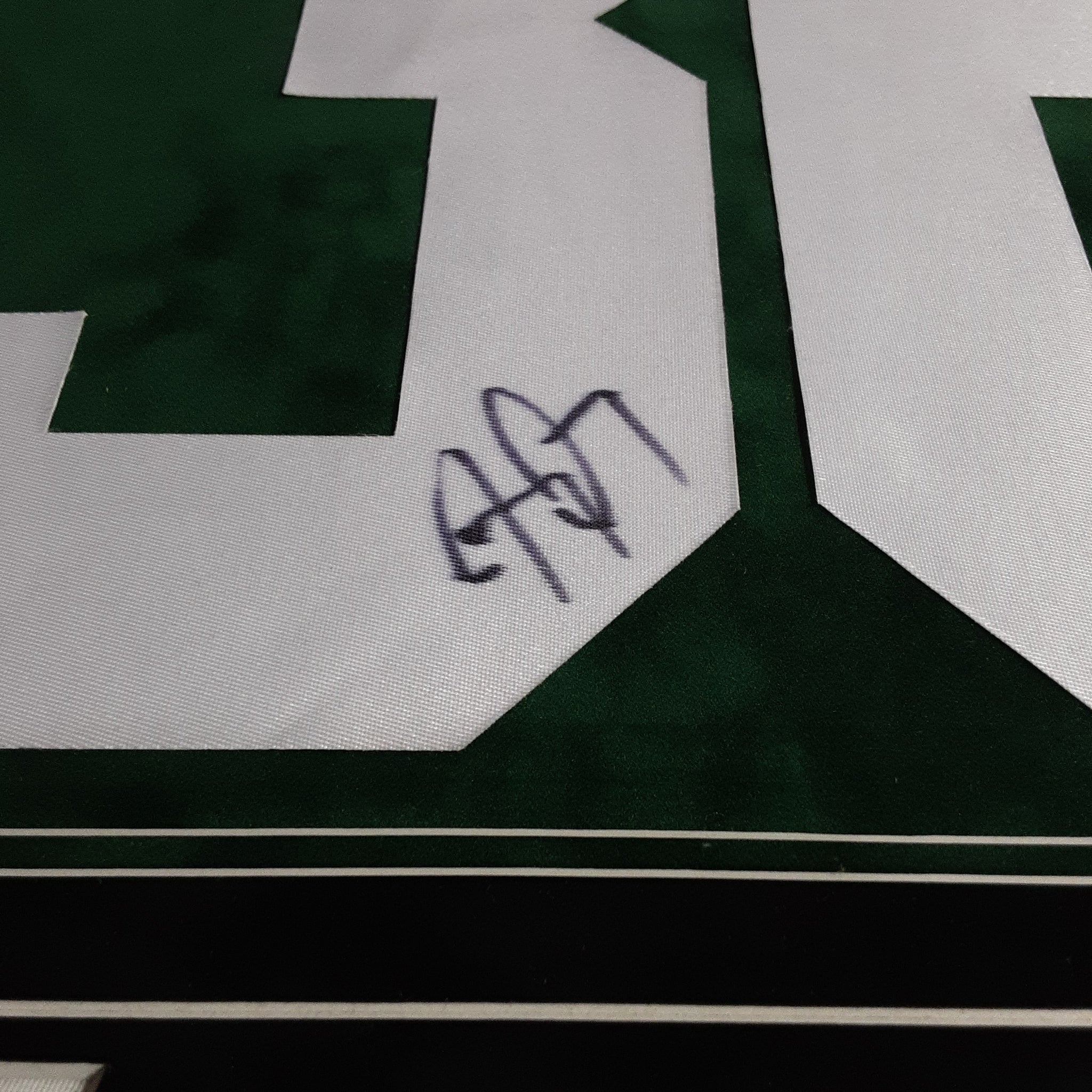 Jay Ajayi Authentic Signed Framed Jersey Numbers Autographed JSA