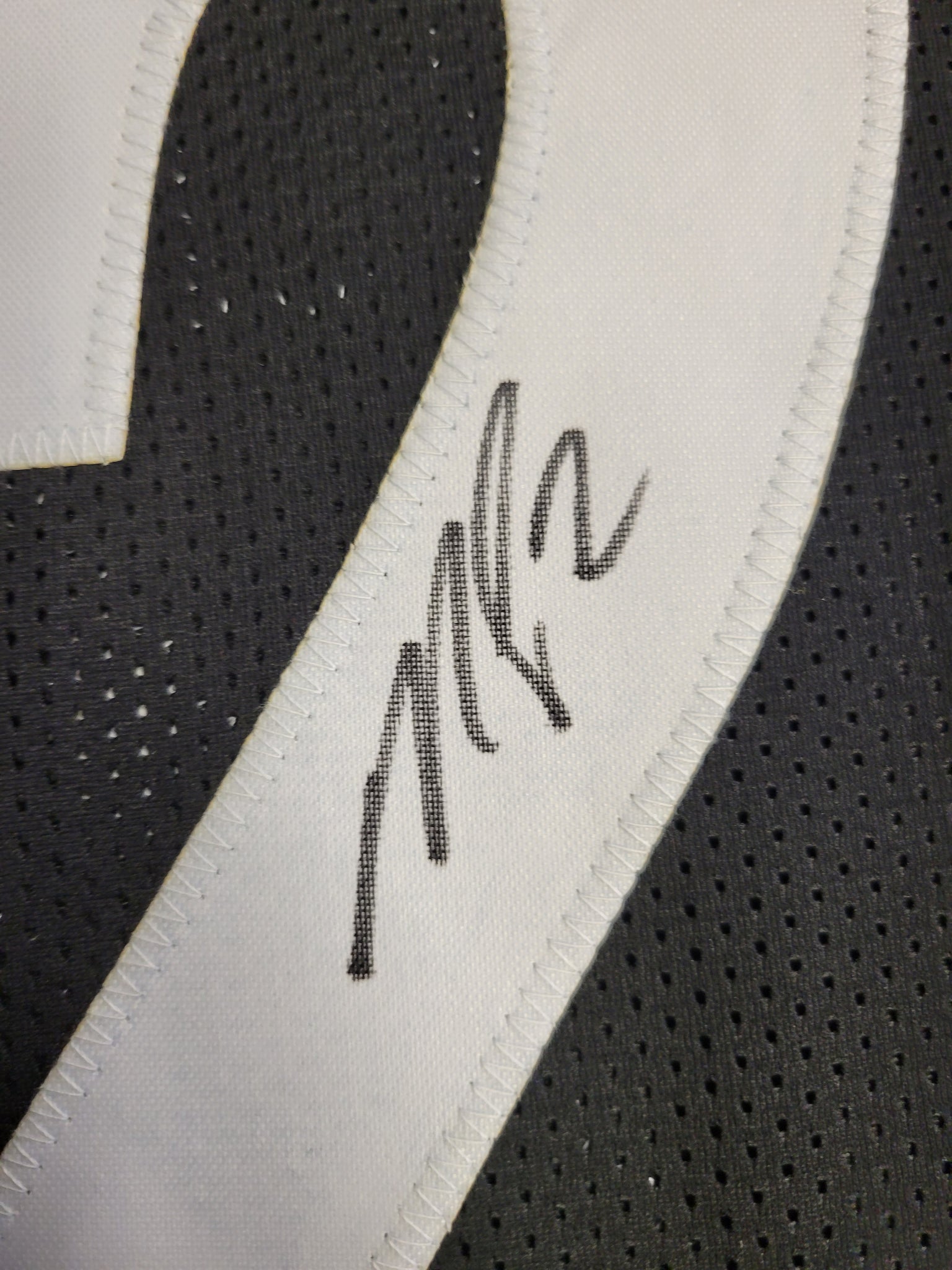 Michael Vick Authentic Signed Pro Style Jersey Autographed JSA