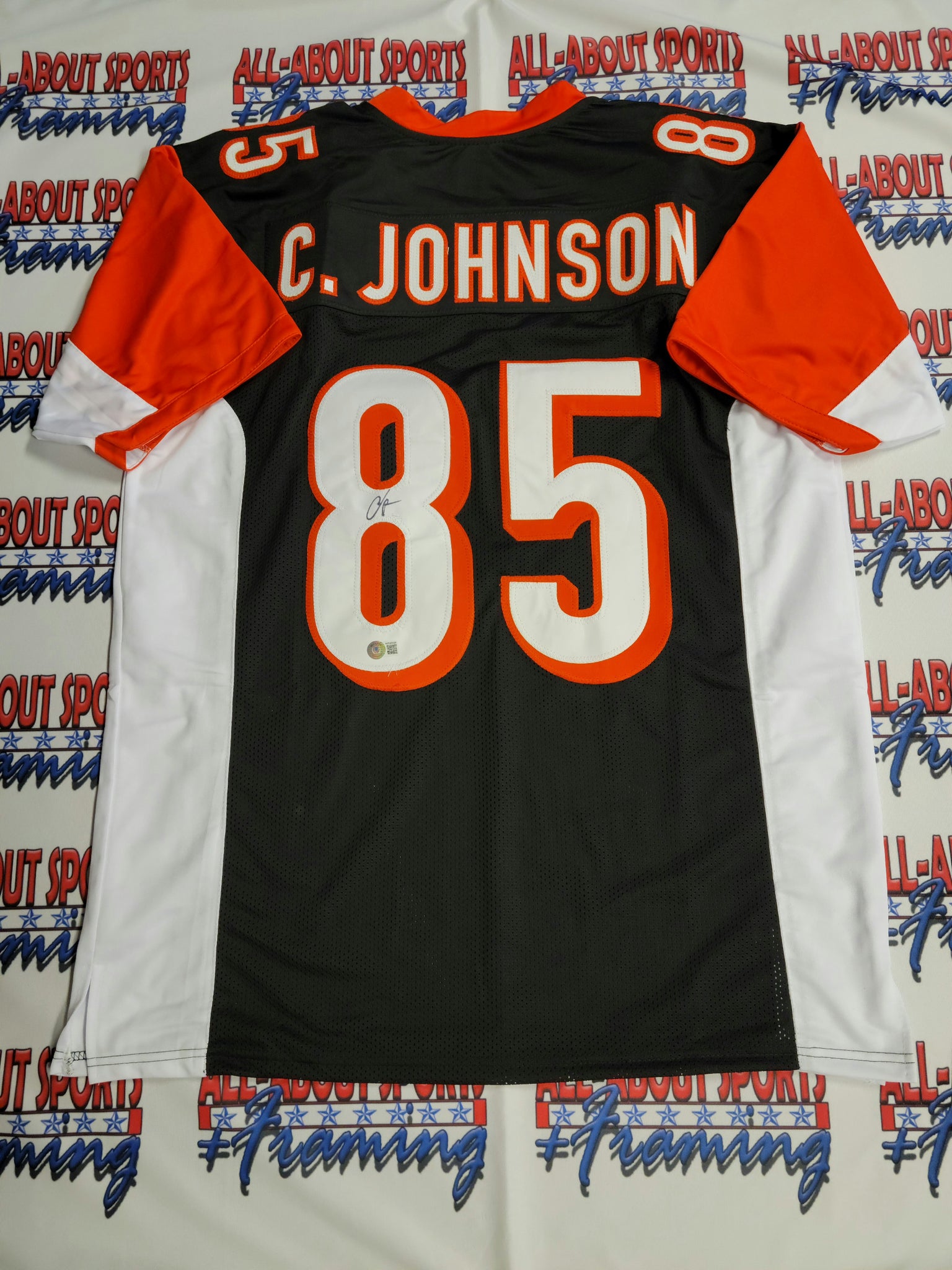 Chad Johnson Authentic Signed Pro Style Jersey Autographed Beckett